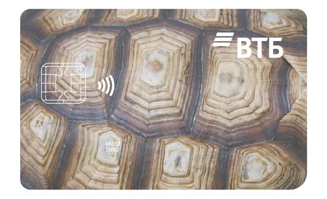 Черепаха Черепаха